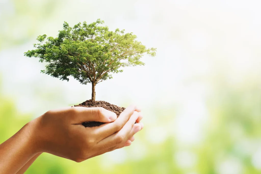 Biorésonance cellulaire : des mains qui portent un arbre en croissance